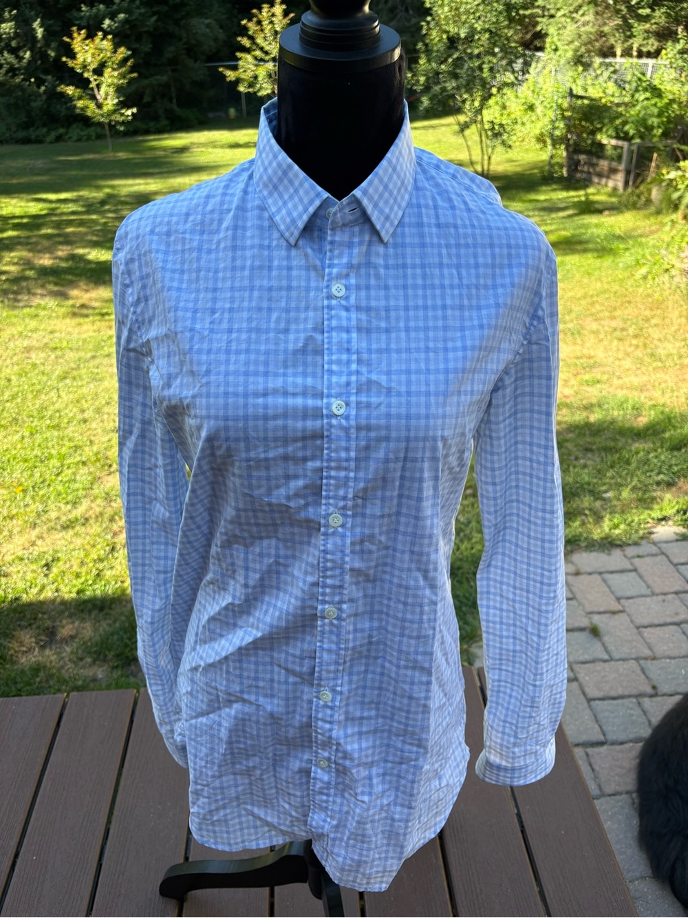 Lacoste Blue and White Plaid Dress Shirt